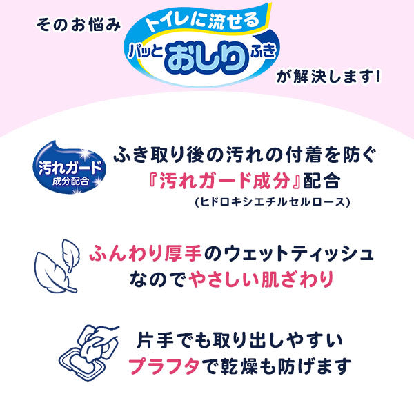 トイレに流せるおしりふき(72枚入り)